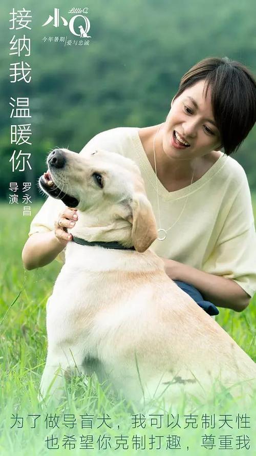 学士学位证书验证系统